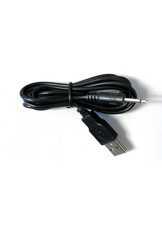Replacement Chargers | The Bodywand Replacement Chargers | The Bodywand